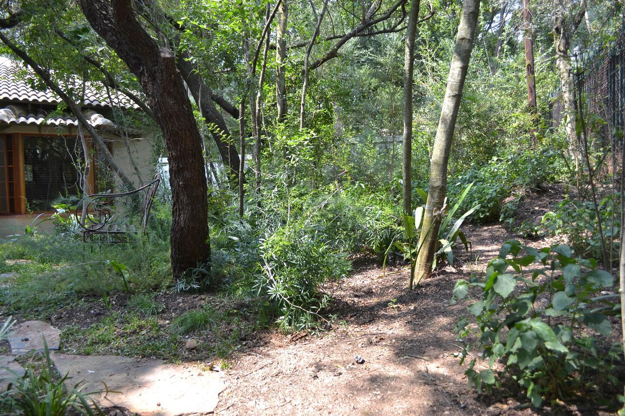 Lydall Wild Tranquil Garden Suites Йоганнесбурґ Екстер'єр фото